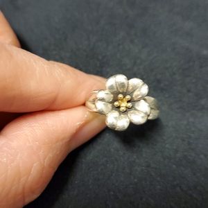 Retired James Avery ring